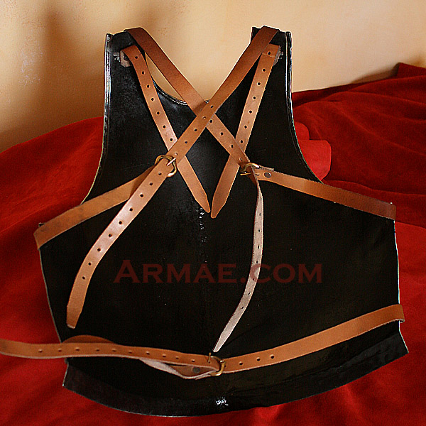 Plastron_16eme