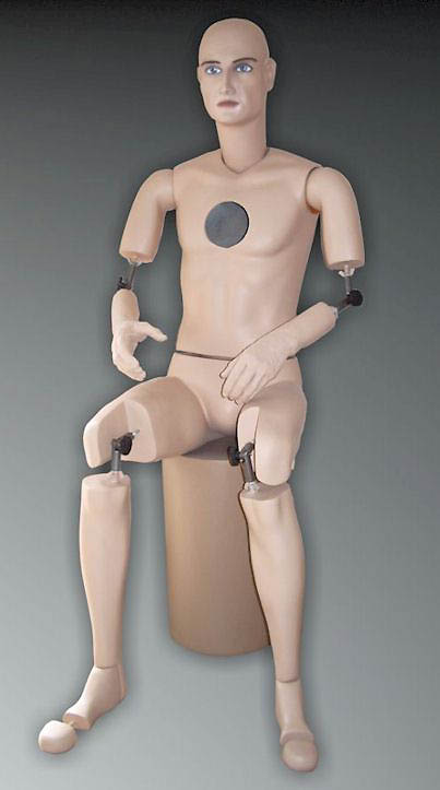 Mannequin_articule