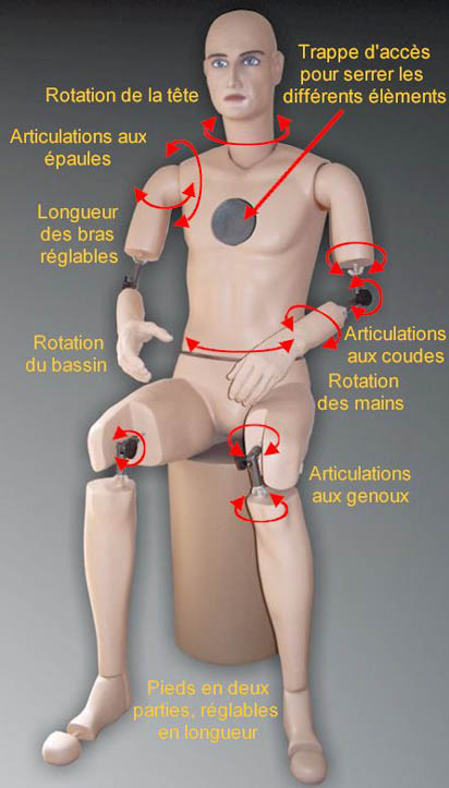 Mannequin_articule