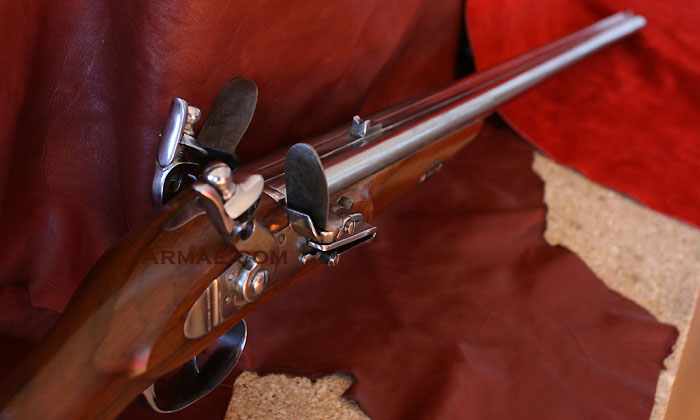 Napoleonic Musket