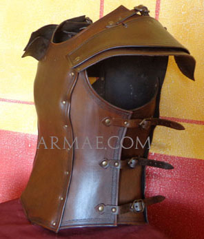 Photo article AG277